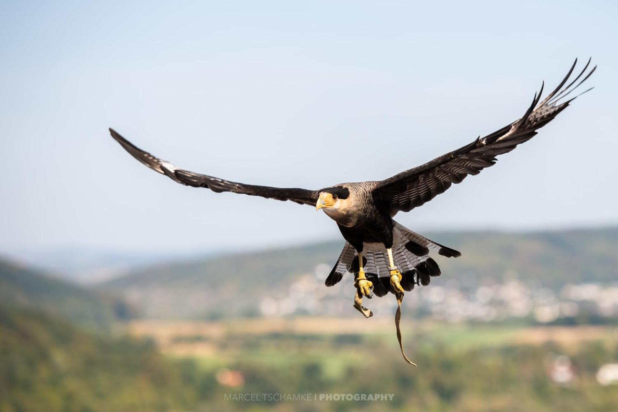 Wohnen Auf Der Ritterburg Villa Hassmersheim ภายนอก รูปภาพ