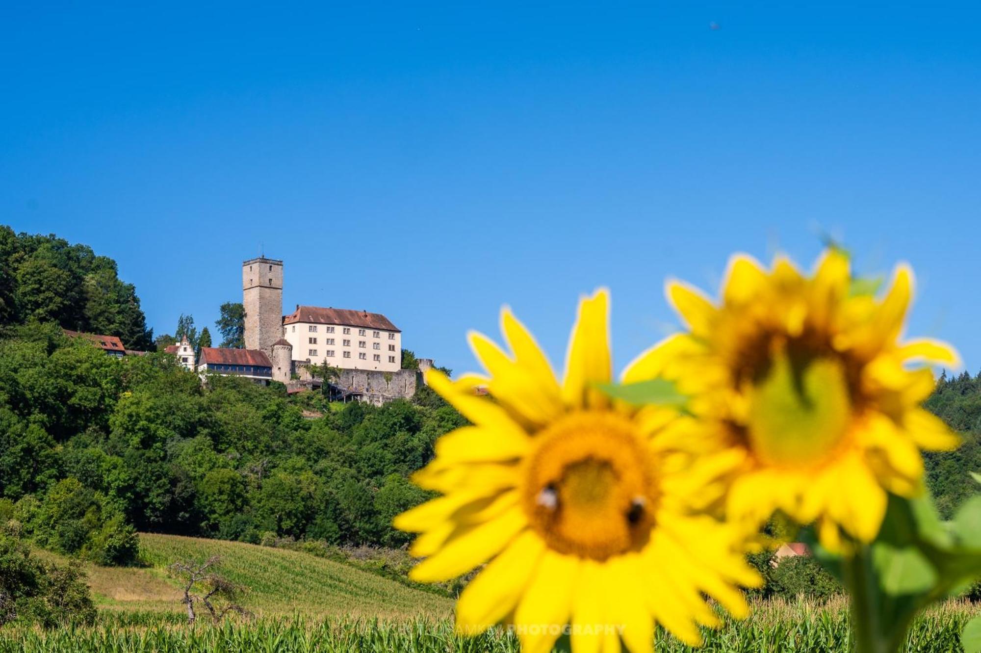 Wohnen Auf Der Ritterburg Villa Hassmersheim ภายนอก รูปภาพ